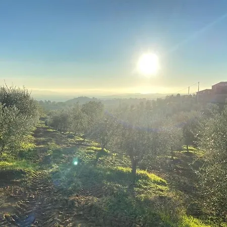 La Poderina * Scansano