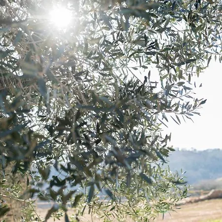 Alojamento de Turismo Rural La Poderina *
