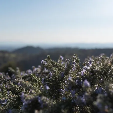 Alojamento de Turismo Rural La Poderina *