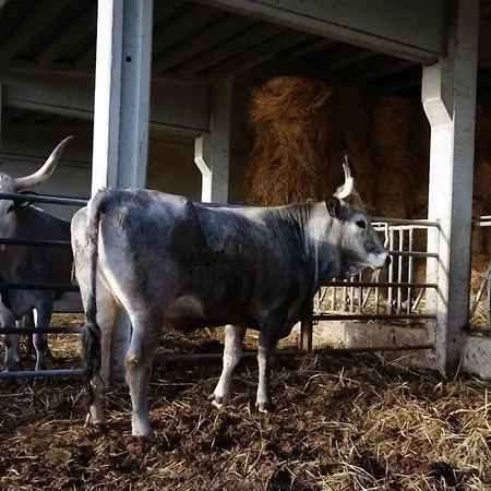 La Poderina Alojamento de Turismo Rural