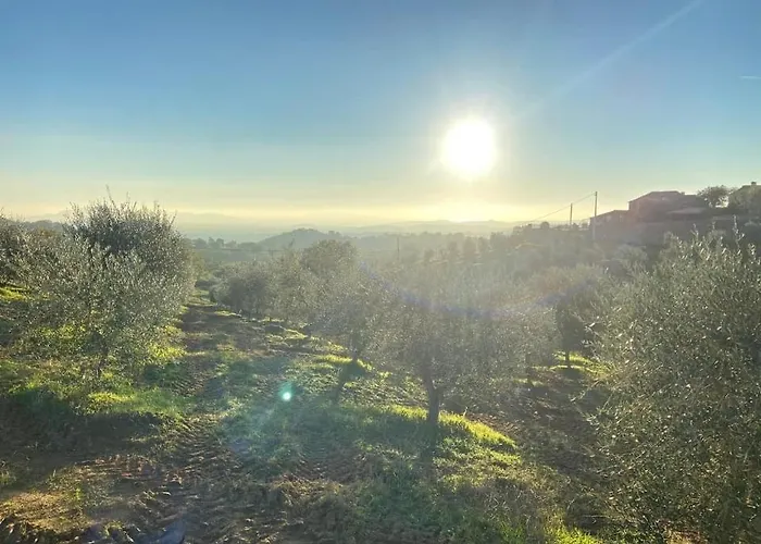 La Poderina * スカンサーノ