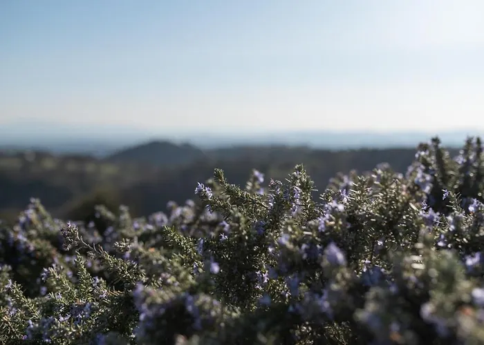 팜스테이 La Poderina *