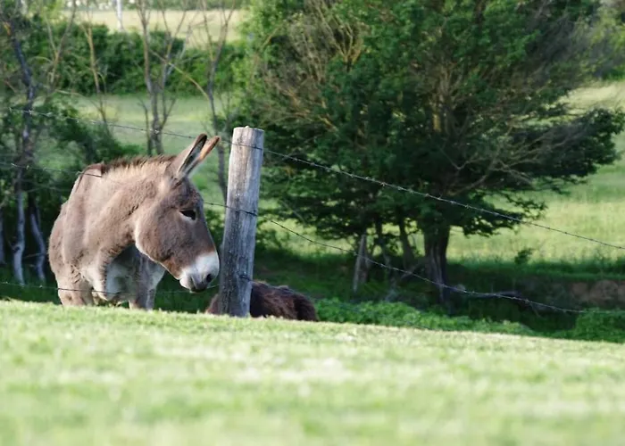 팜스테이 La Poderina *