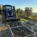 La Poderina Alojamento de Turismo Rural Scansano