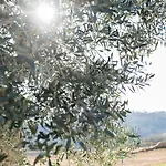 Alojamento de Turismo Rural La Poderina *