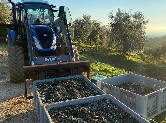 La Poderina Farmház Scansano