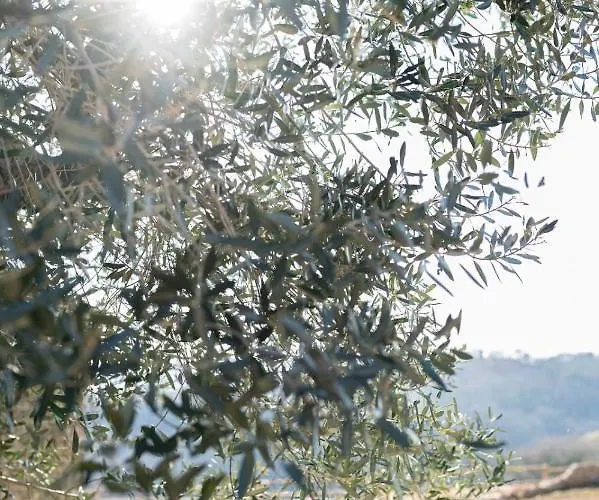 Farmház La Poderina *