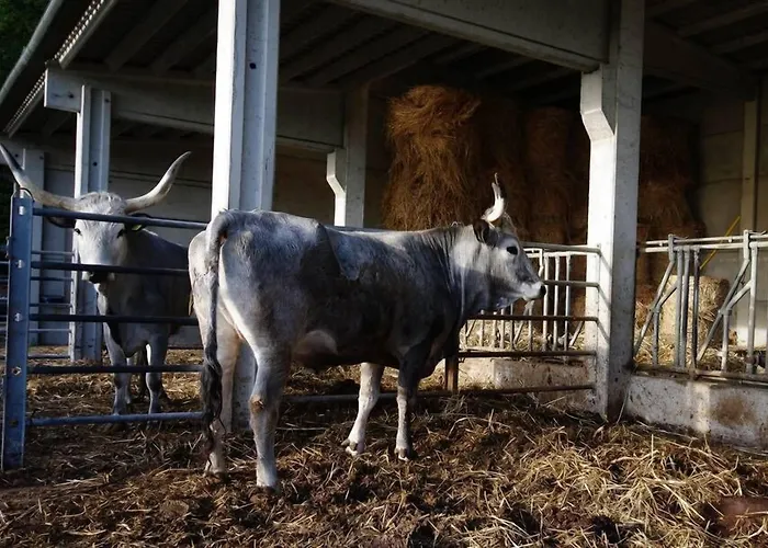 La Poderina Farmház